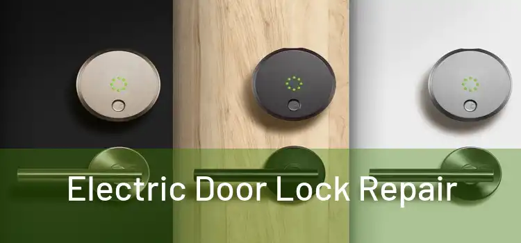 Electric Door Lock Repair